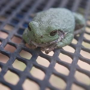 Meet your Posher, Bryce